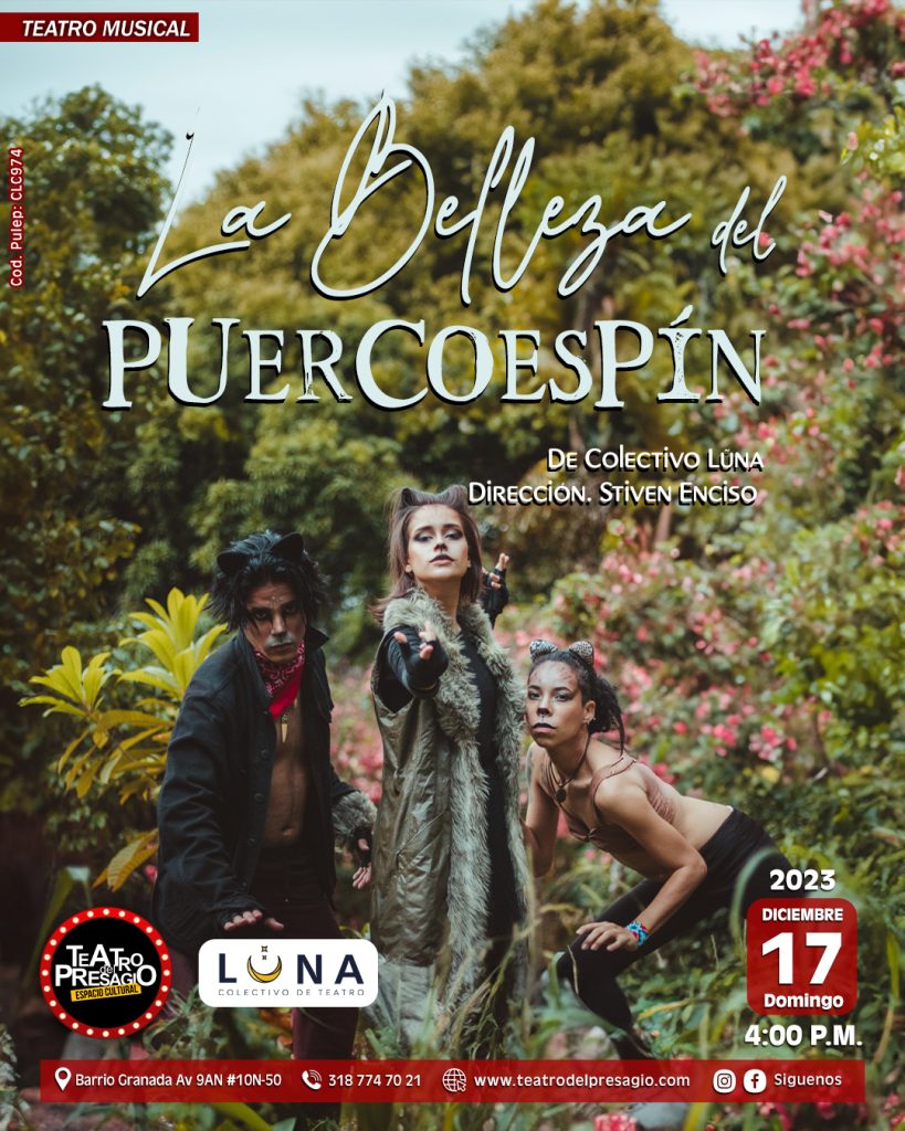 la-belleza-del-puercoespin